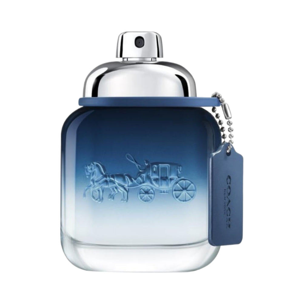 Men Blue Eau de Toilette 100ml