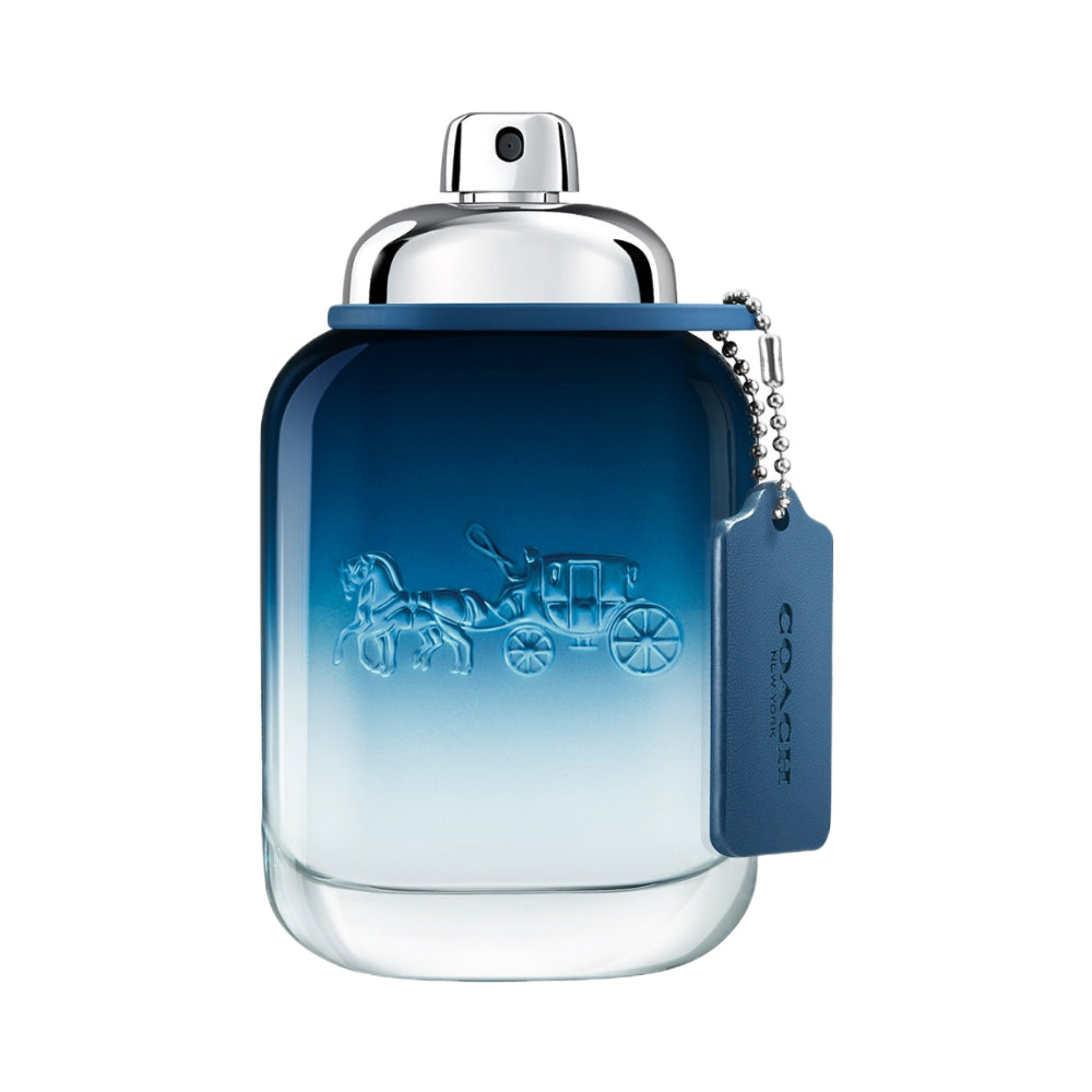 Men Blue Eau de Toilette 100ml