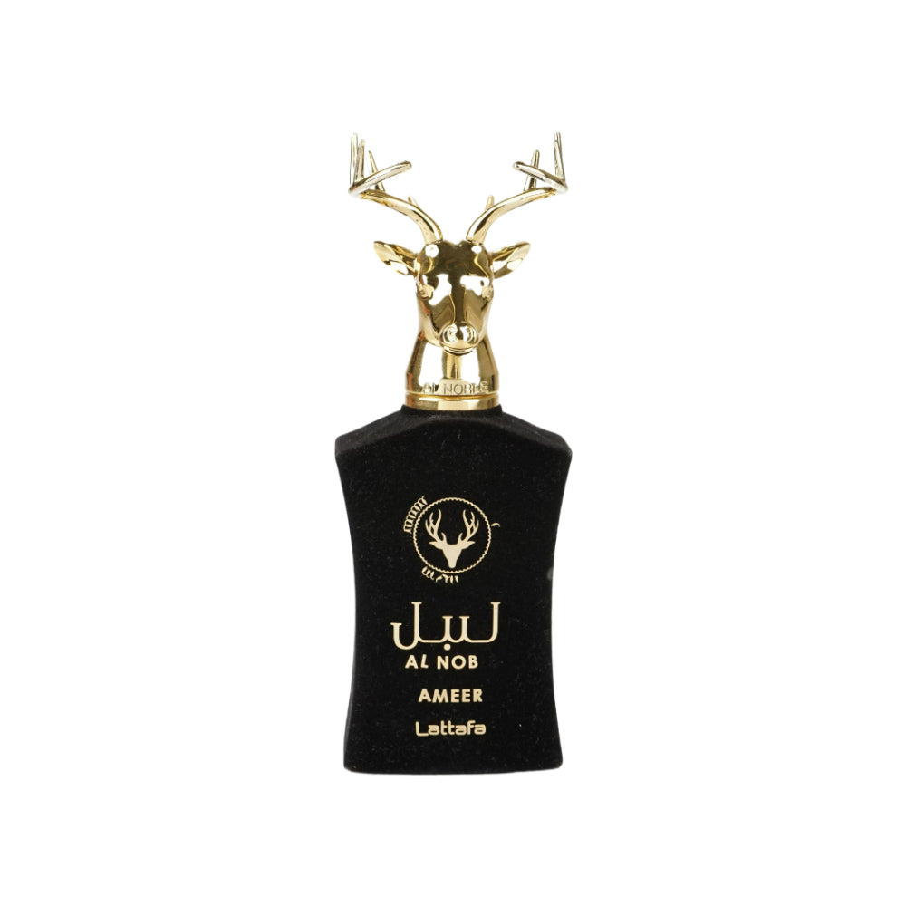 Ameer Eau De Parfum 100ml