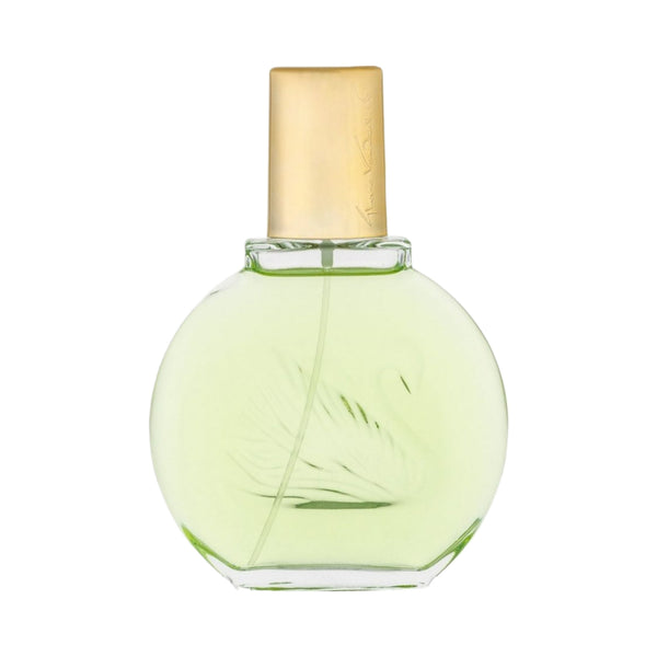 Vanderbilt Jardin A New York Eau de Parfum 100ml – Perfume Forever