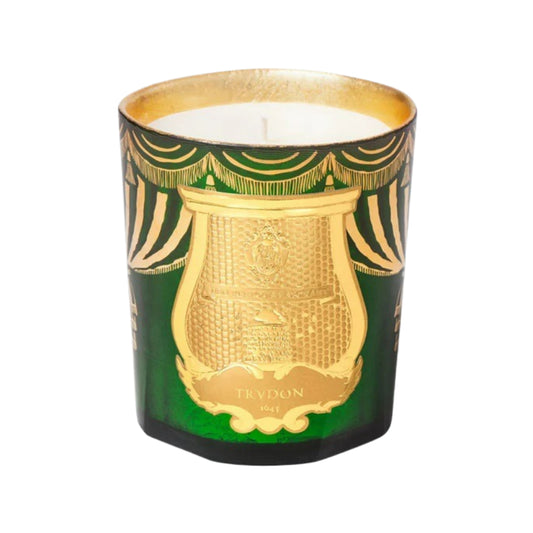 Angelo Candle 2024 -