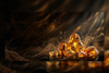 Amber collection image